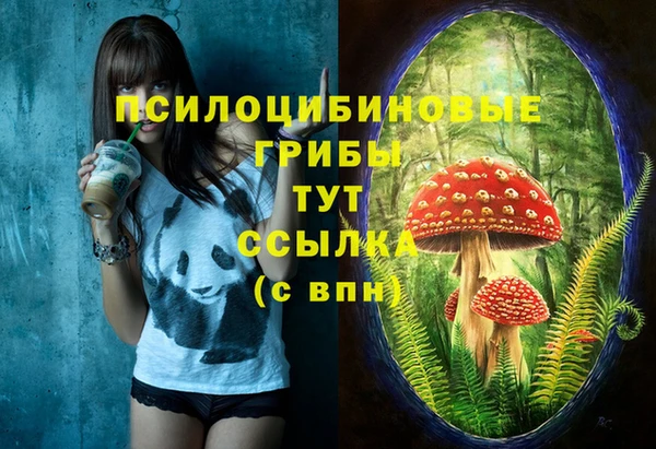 МДМА Алексеевка