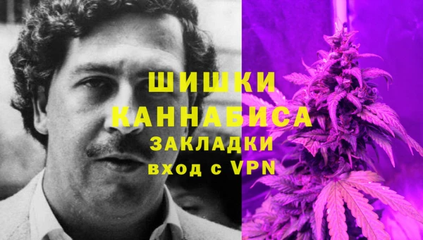гидра Алзамай