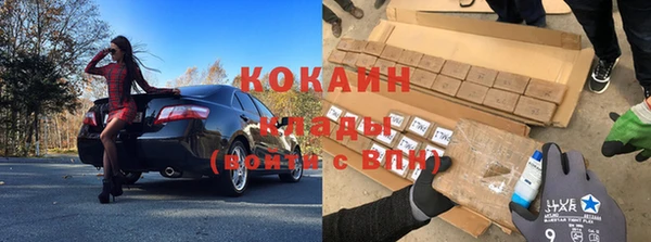 кокс Алексин