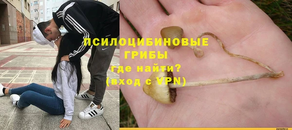 гидра Алзамай