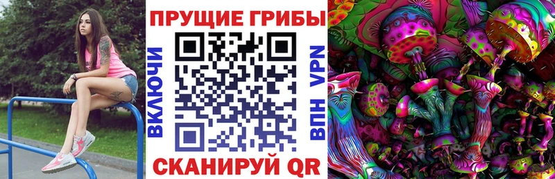 где купить наркотик  Ува  Галлюциногенные грибы GOLDEN TEACHER 